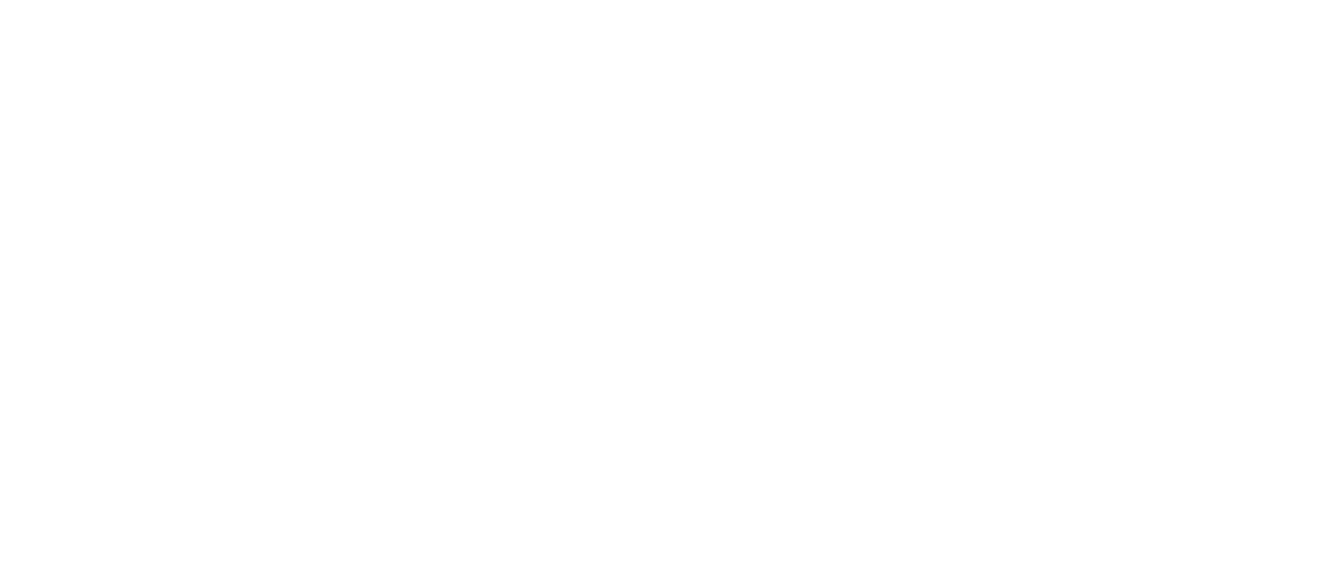 Julie Richer Reining